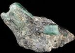Beryl (Var: Emerald) Crystals in Biotite & Quartz - Bahia, Brazil #44125-2